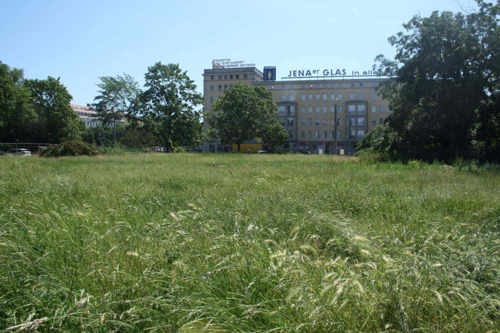 Die besonders umkämpfte Grünfläche zwischen Windmühlenstraße und Brüderstraße. Foto: Ralf Julke
