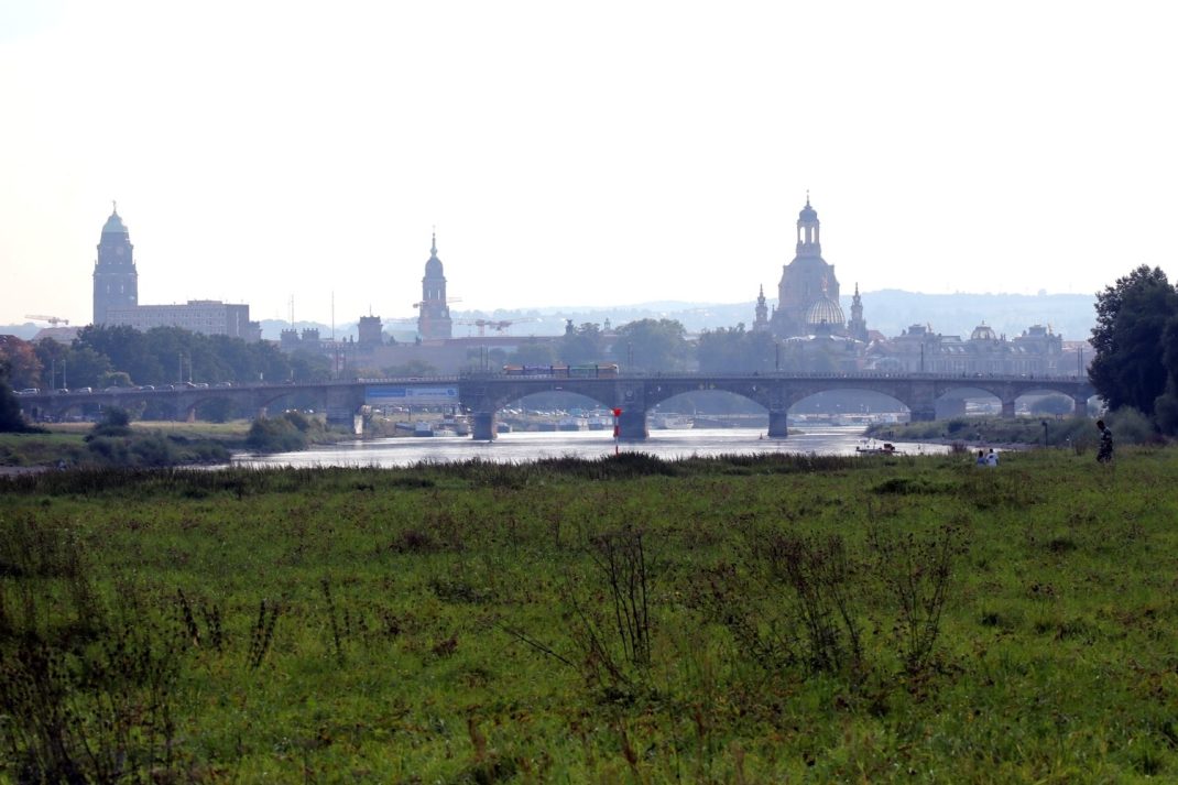 Die Elbwiesen in Dresden. Foto: LZ