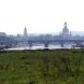 Die Elbwiesen in Dresden. Foto: LZ