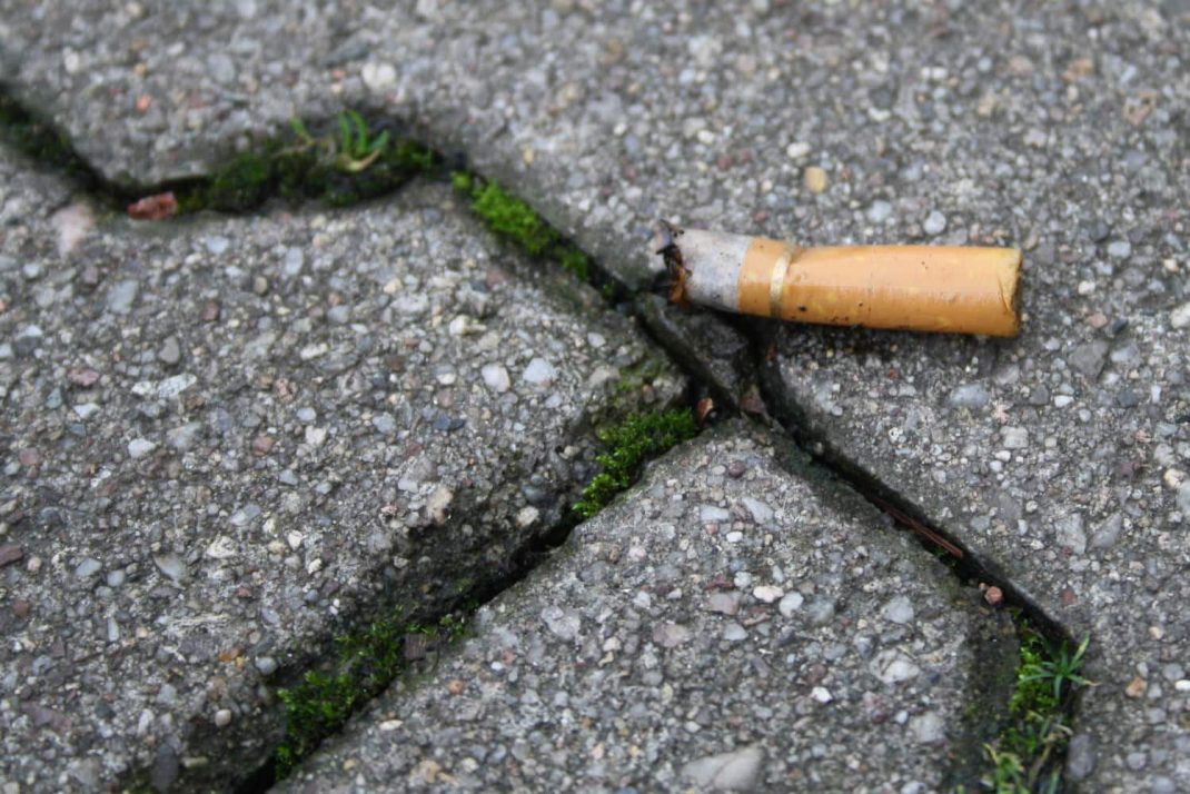 Kippe auf Abwegen. Foto: Ralf Julke