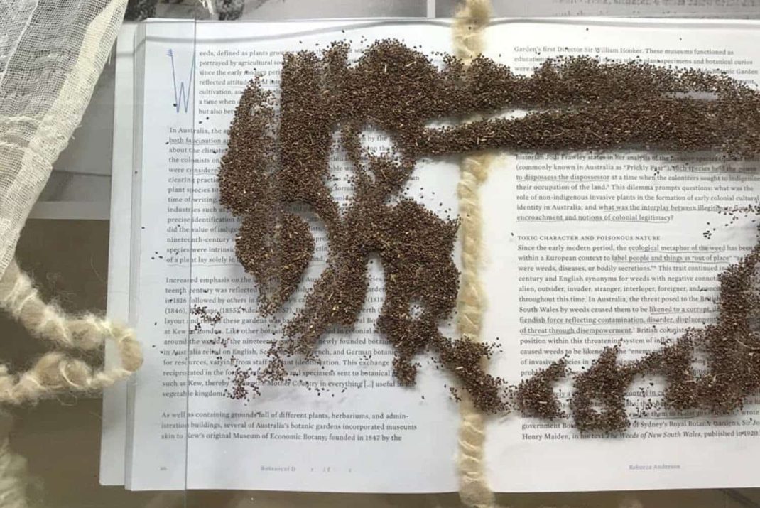 Installation von Theresa Zwerschke im Naturkundemuseum Leipzig (Ausschnitt). Foto: Theresa Zwerschke