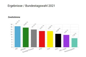 Das sächsische U18-Wahlergebnis. Grafik: Deutscher Bundesjugendring