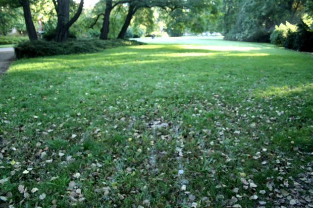 Die letzten Spuren von Bastian Muhrs Kunstprojekt auf dem Rasen im Plastikgarten. Foto: Ralf Julke