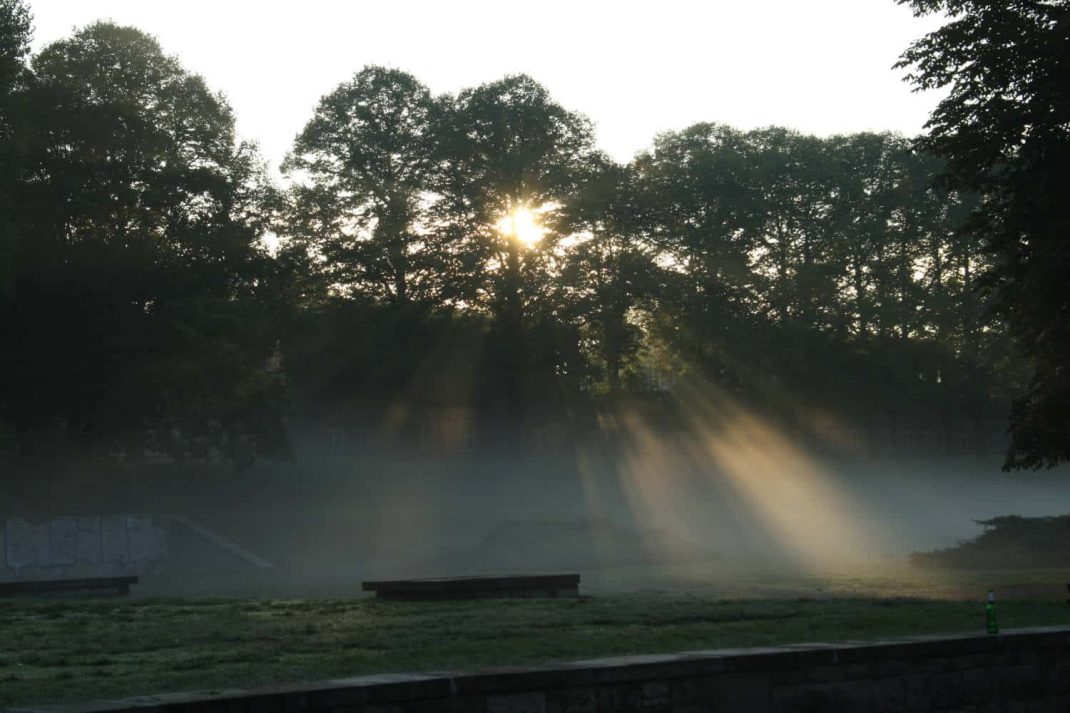Morgenstimmung im Richard-Wagner-Hain. Foto: Ralf Julke