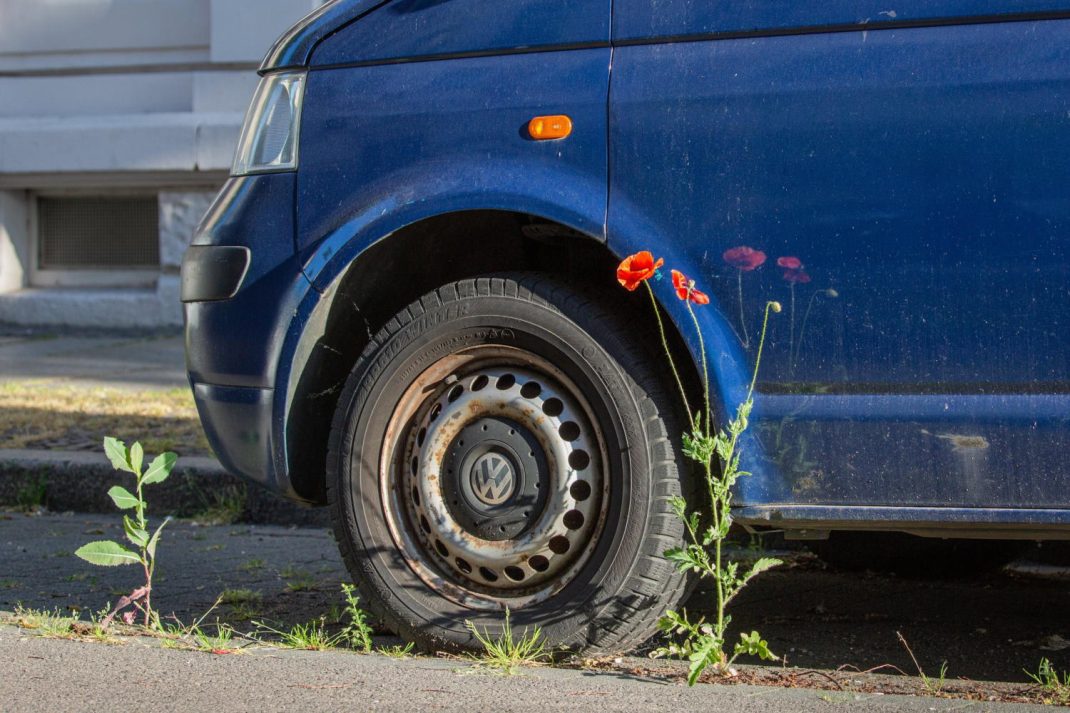 Leipzig endlich pestizidfrei machen. Foto: Stefan Lips