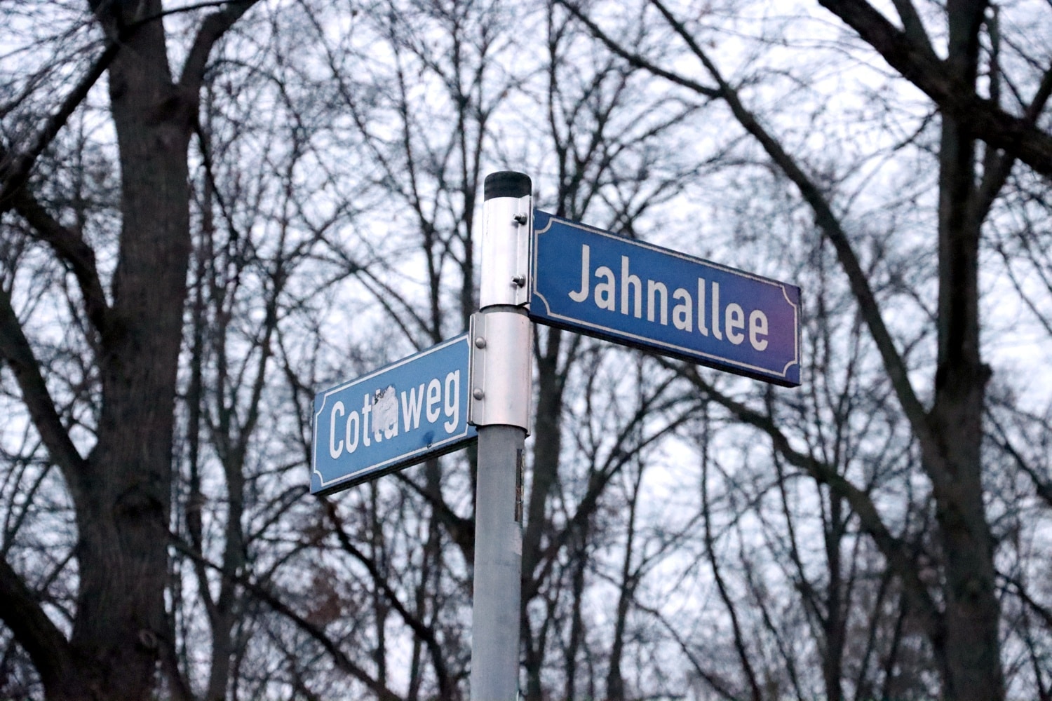 Der Cottaweg an der Jahnallee. Foto: Michael Freitag / LZ