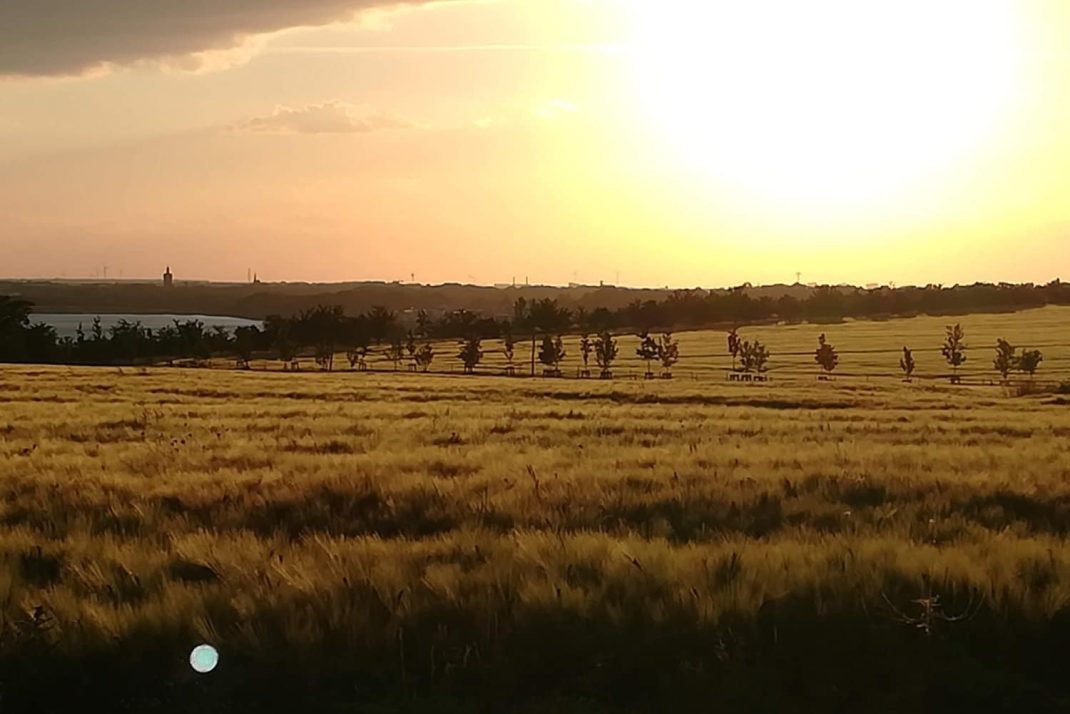 Die Landschaft östlich des Markkleeberger Sees. Foto: Thomas Riedel
