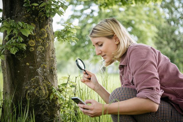 Mit dem Smartphone auf Entdeckungstour gehen. Foto: LWL-Museum für Naturkunde