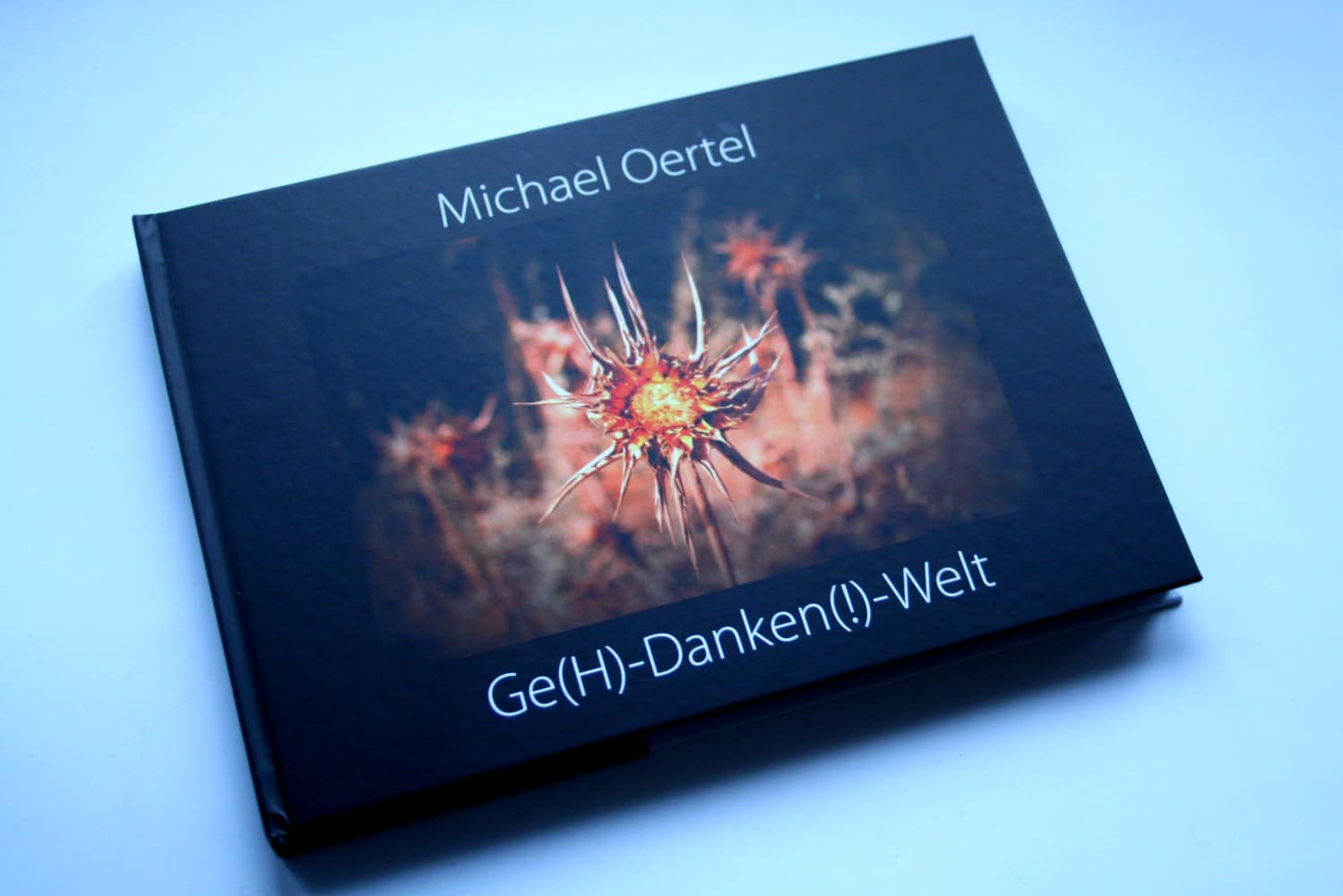 Michael Oertel: Ge(H)-Danken(!)-Welt. Foto: Ralf Julke