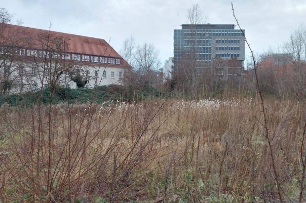 Das Baugelände Prager Spitze mit Blick zum Technischen Rathaus. Foto: LZ
