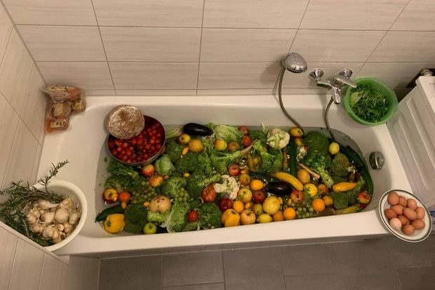 Die essbare Beute einer einzigen Nacht auf den 7. Januar 2022. Foto: Privat