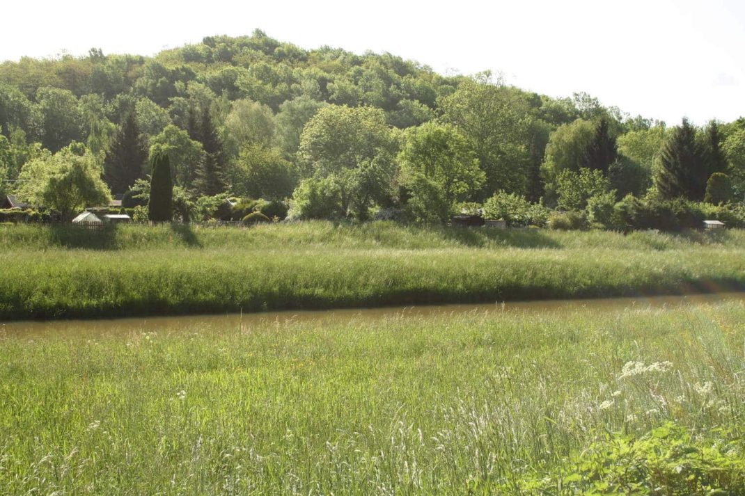 Der Fockeberg von Westen. Foto: Ralf Julke