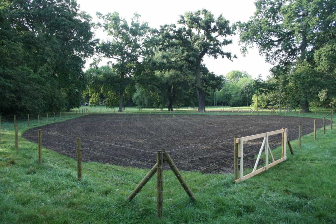 Frisch angesäte Blühwiese im Johannapark. Archivfoto: Ralf Julke