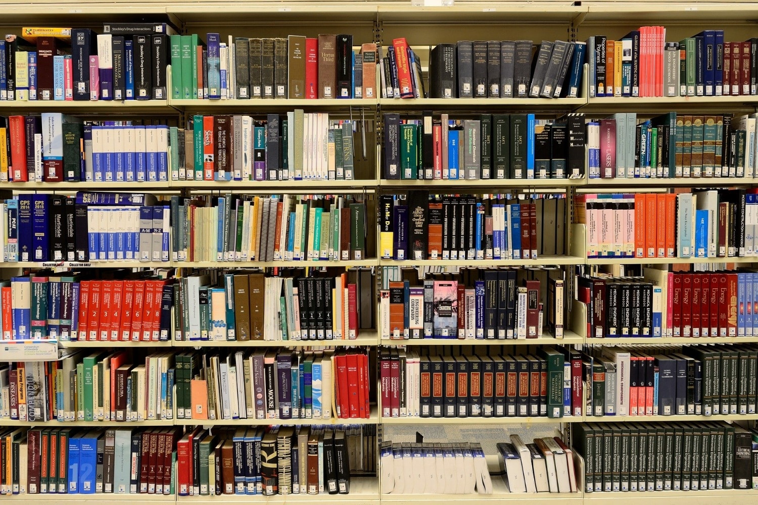 Tag-der-offenen-Bibliothek-Grimma-Von-fliegenden-M-usen-und-anderen-Zwergen