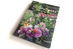 Chantal Remmert, Grit Hartung: Slowflowers. Foto: Ralf Julke