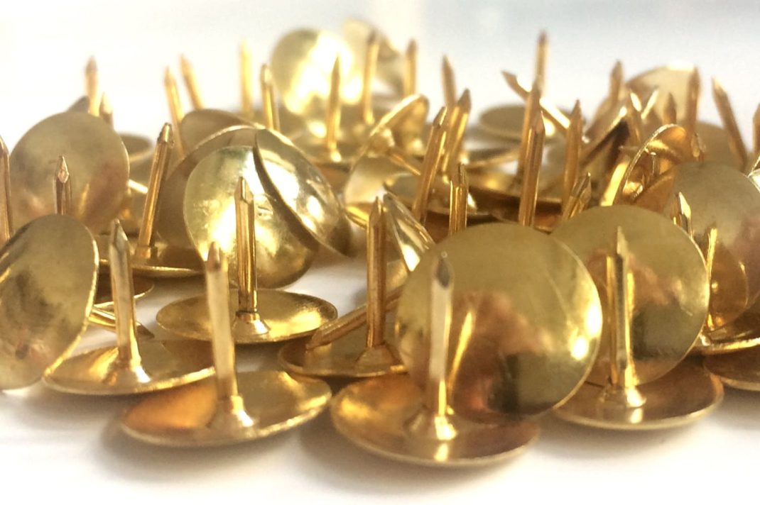 Stachelige Aussichten. Foto: Ralf Julke