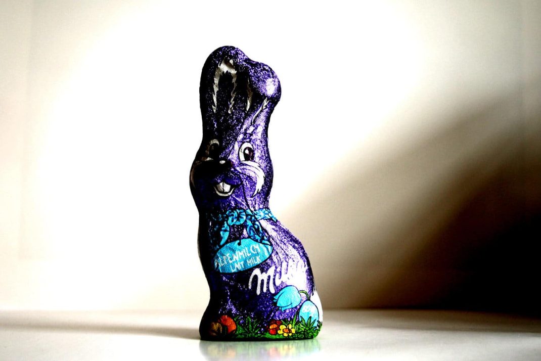 Österlicher Frühlingsbote. Foto: Ralf Julke