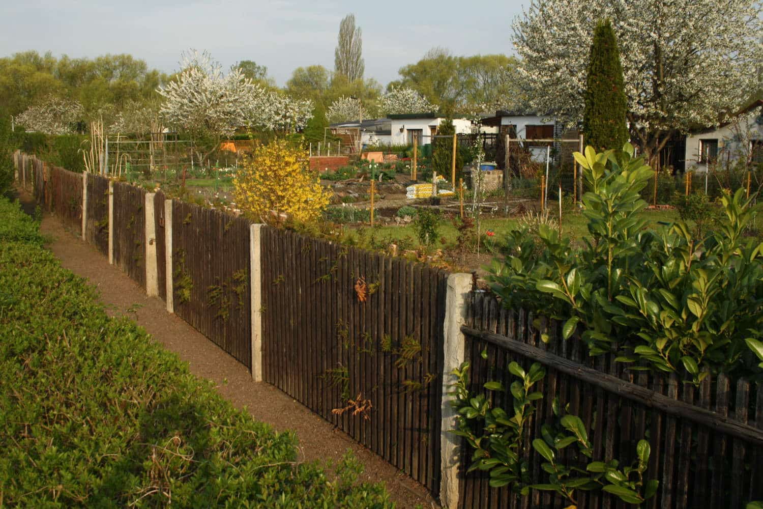 Nächste Ausstellung in der krudebude am Stannebeinplatz Utopie in der