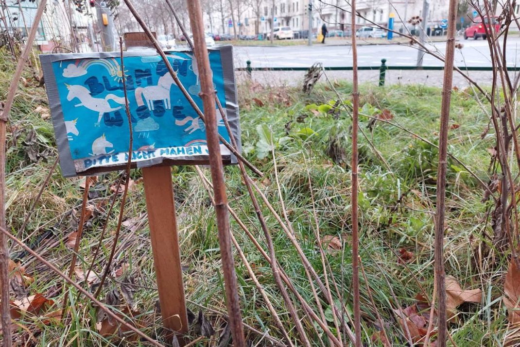 Bitte nicht mähen. Foto: LZ