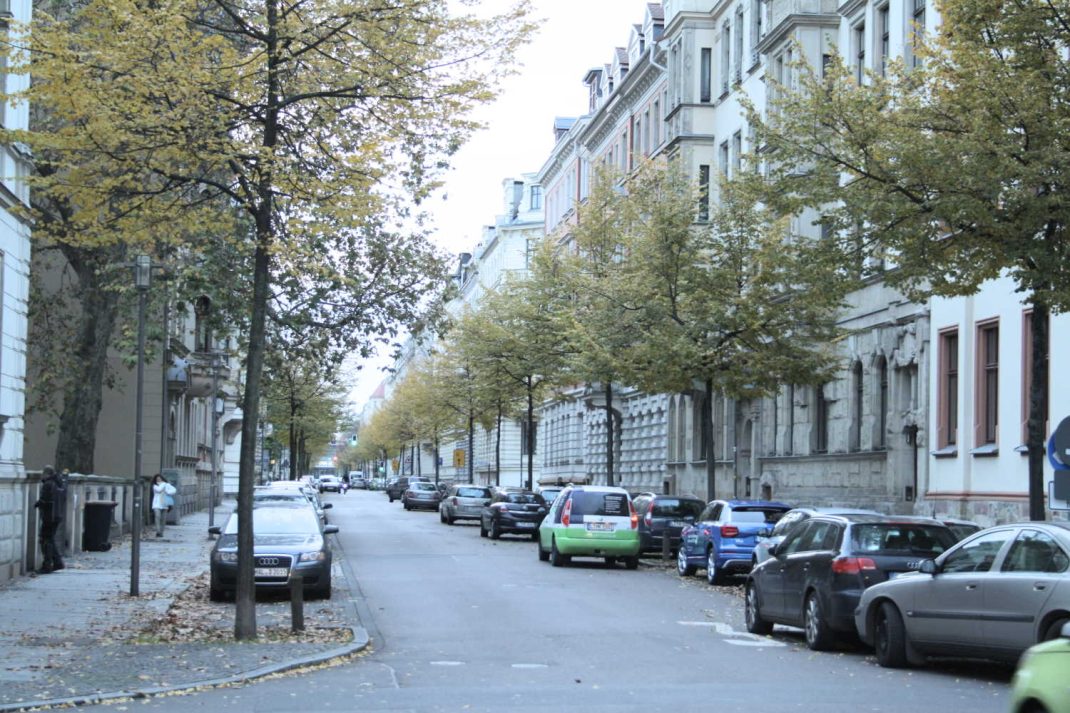 Wo Bäume stehen - wie hier im Waldstraßenviertel - weiß man, wie sehr sie im Sommer kühlen. Foto: Ralf Julke