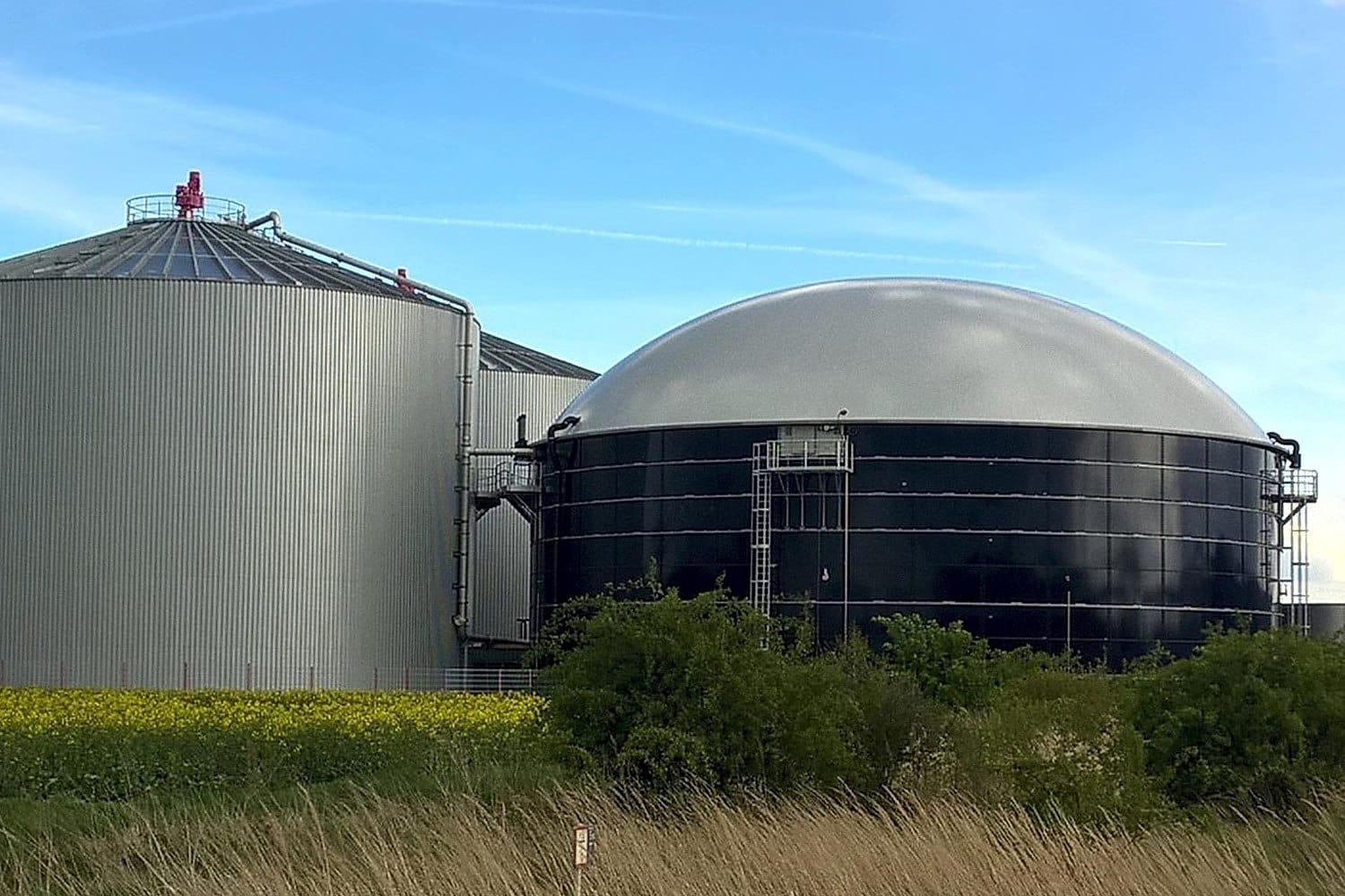 Biomasseforschungszentrum Leipzig: Der Ersatz von russischem Gas durch  Biogas ist nur begrenzt möglich · Leipziger Zeitung