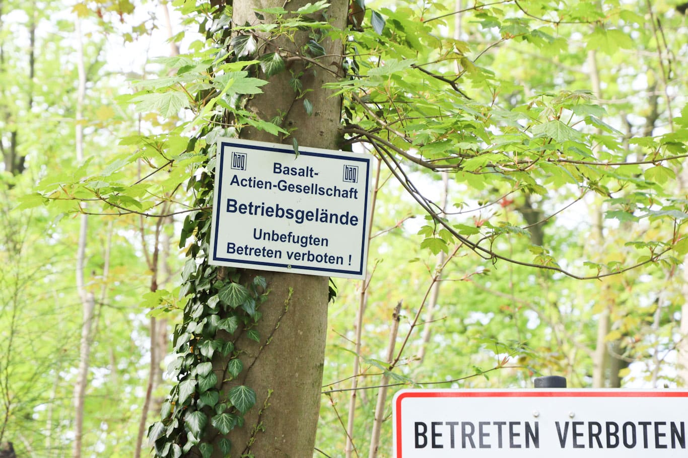 Untersagte Natur für all die Kletterer – Betreten verboten am Holzberg. Foto: LZ