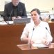 Bürgermeisterin Vicki Felthaus bringt die Vorlage zur Kita-Bedarfsplanung ein. Foto: Livestream der Stadt Leipzig, Screenshot: LZ