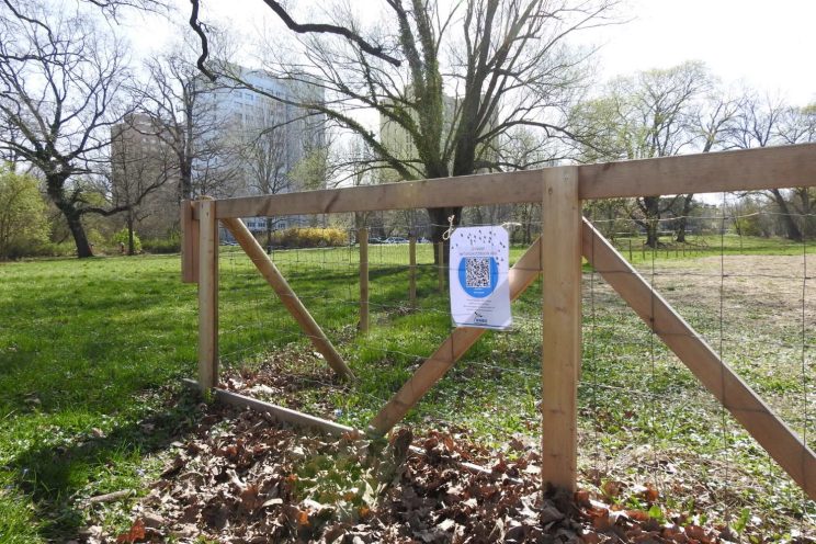 Hörstation im Johannapark. Foto: NABU / Beatrice Jeschke