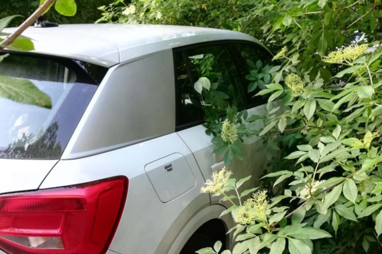 Parken im Unterholz am 25. Mai beim Bon-Jovi-Konzert. Foto: Elke Hanewinkel