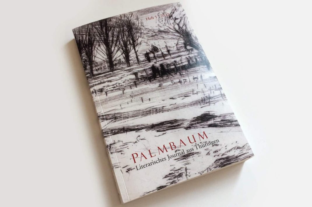 Palmbaum: Novalis 250. Was ist romantisch? Foto: Ralf Julke