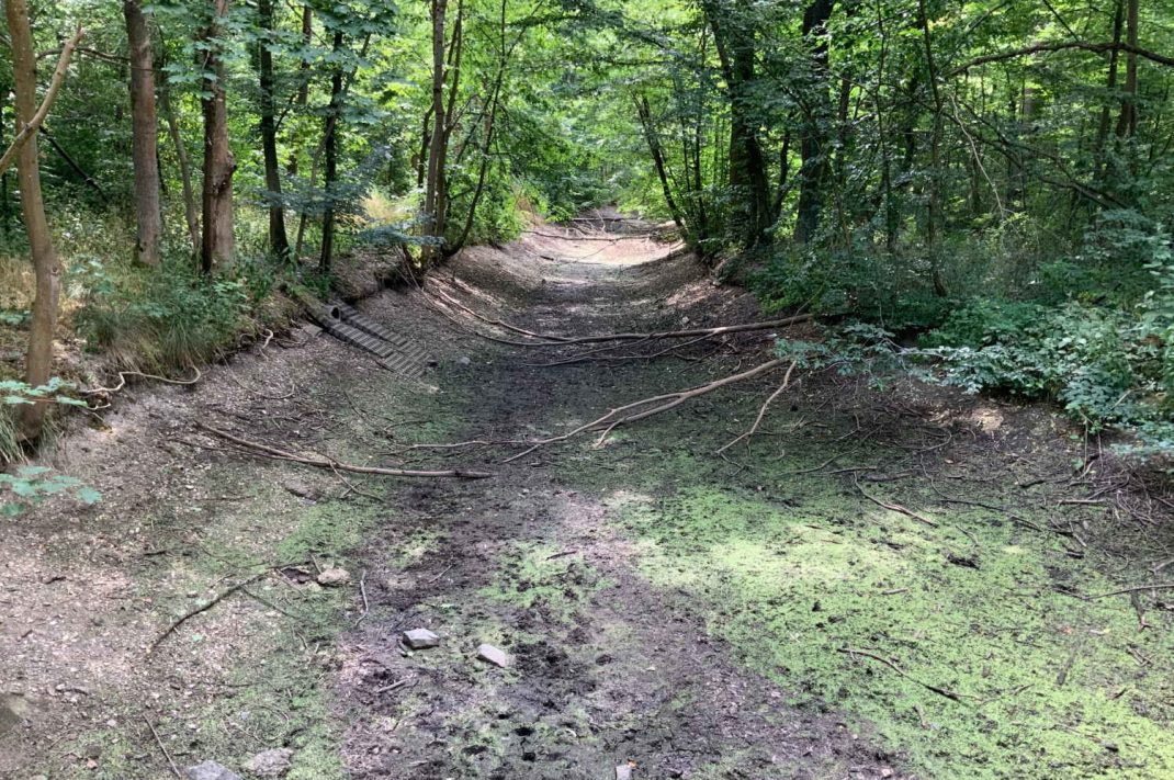 Trockene Parthe bei Lindhardt. Foto: Umweltamt Landkreis Leipzig