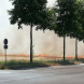 Brennendes Feld bei Rückmarsdorf. Foto: Marko Hofmann