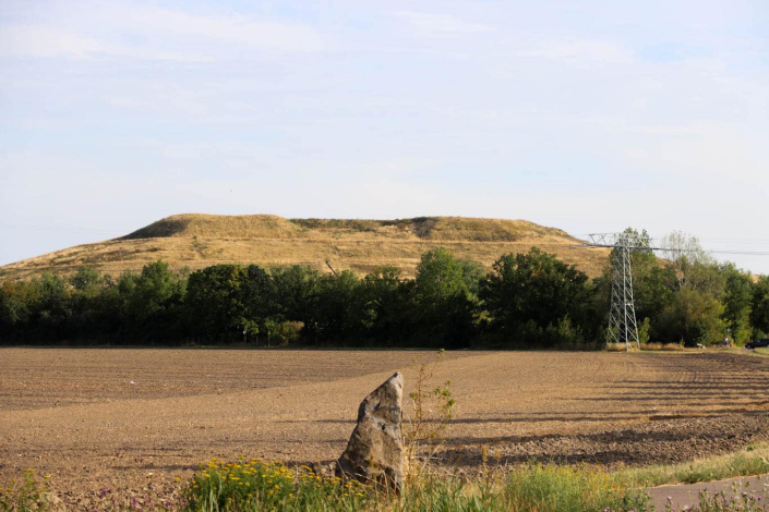Die inzwischen bewaldete Deponie Seehausen.