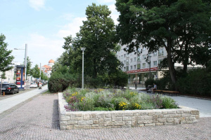 Straßenbegleitgrün an der Karl-Liebknecht-Straße. Foto: Ralf Julke