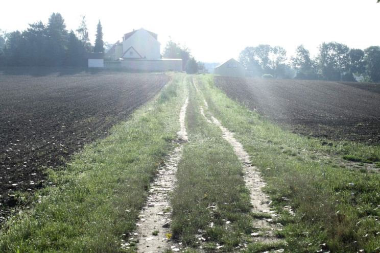 Plaußiger Weg in Taucha. Foto: Ralf Julke