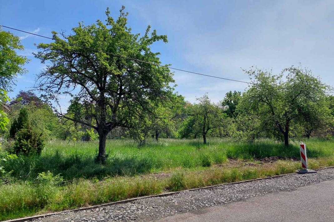 Streuobstwiese in Meusdorf. Foto: Sabine Eicker