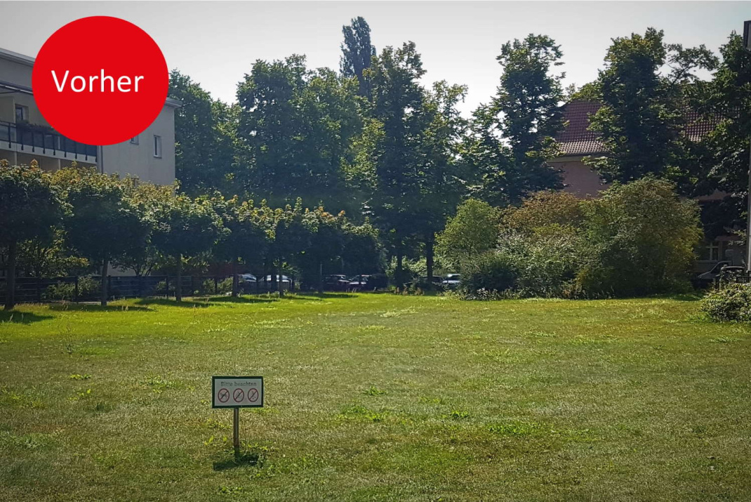 So sehen die Innenhöfe von Wohnanlagen heute meistens aus ... Foto: Stiftung für Mensch und Umwelt