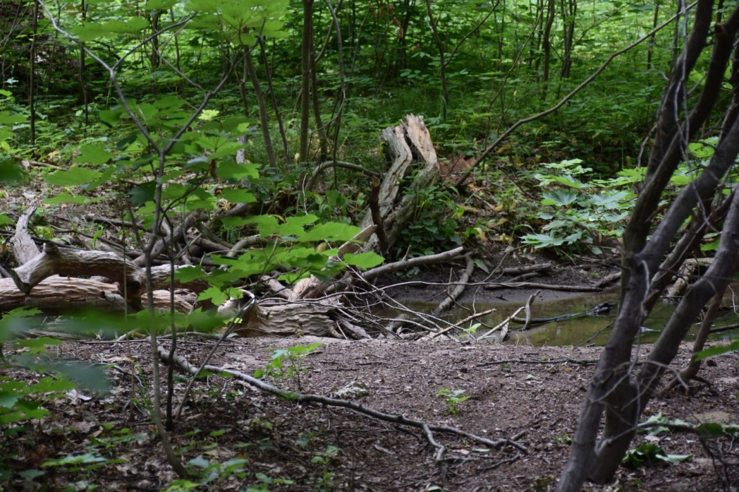 Darf nur für die mitgesendete PM verwendet werden
