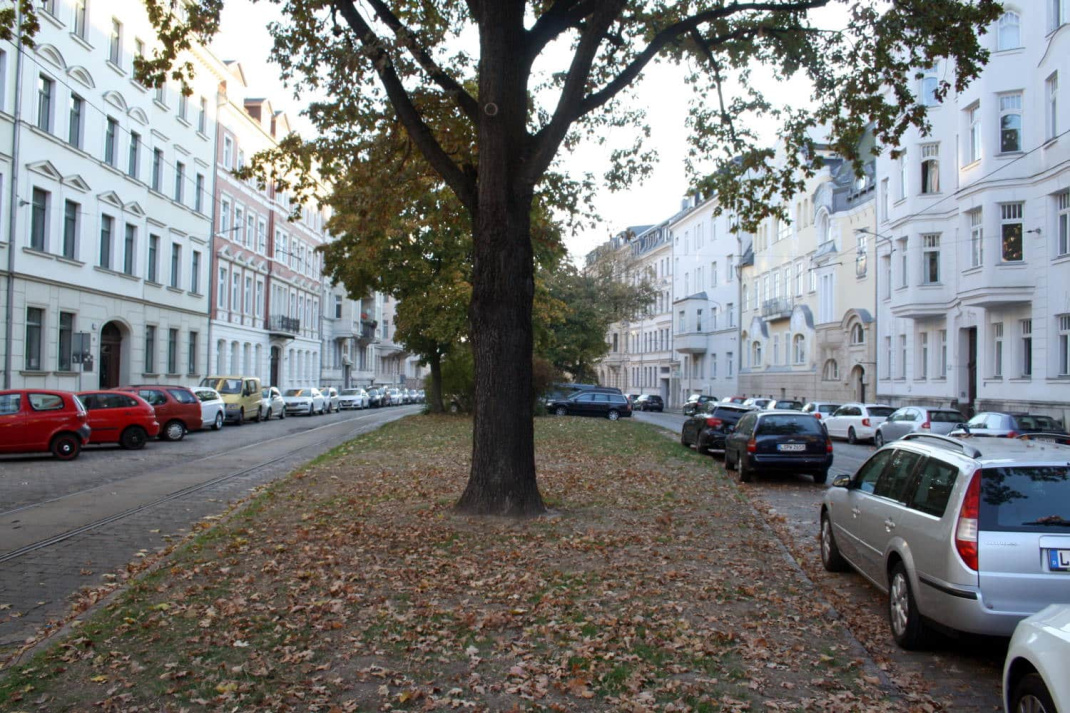 Der Gohliser Dorfanger im alten Zustand. Foto: Ralf Julke