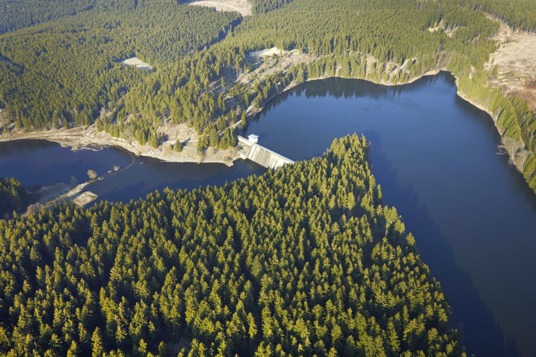 Die Rappbodetalsperre im Harz ist von Wäldern umgeben und die größte Trinkwassertalsperre Deutschlands. Foto: André Künzelmann/ UFZ