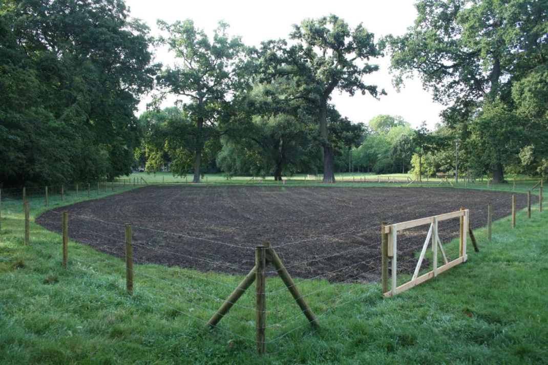 Umzäunte Fläche im Johannapark. Foto: Ralf Julke