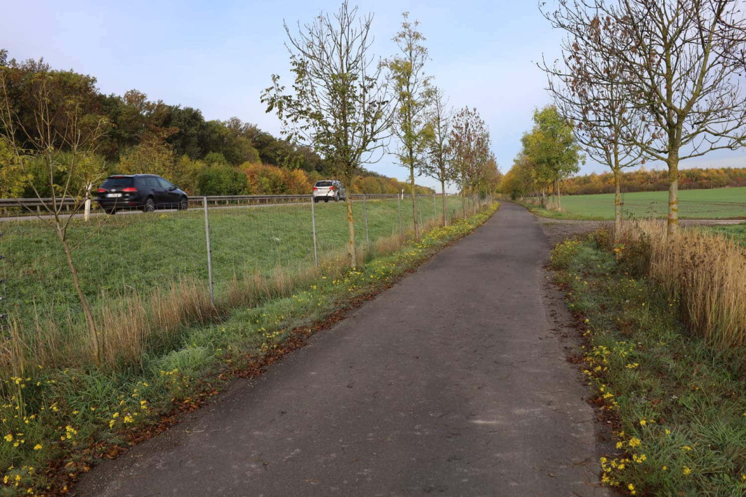 Der Radweg gleich neben der Louise-Otto-Peters-Allee. Foto: Ralf Julke