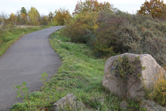 Flotter Anstieg zur Schafshöhe. Foto: Ralf Julke