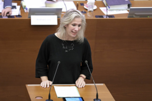 Katharina Krefft am Rednerpult im Stadtrat