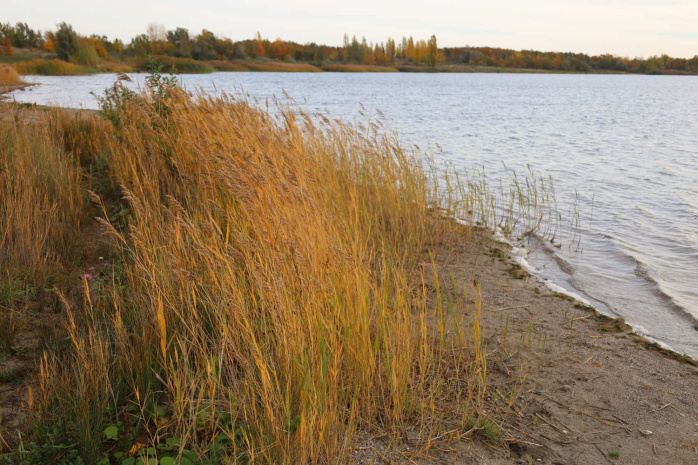 Am Wolteritzer Strandabschnitt. Foto: Ralf Julke