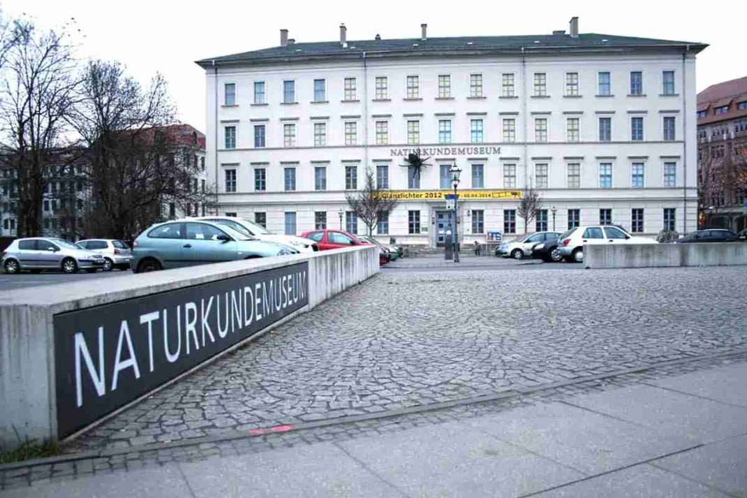 Das Naturkundemuseum in der Lortzingstraße