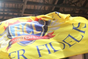 Wehende gelbe Fahne der Fans des HC Leipzig mit HCL-Wappen. Foto: Jan Kaefer