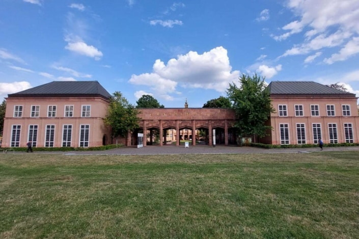 Wiese, Grassi-Museum und blauer Himmel.