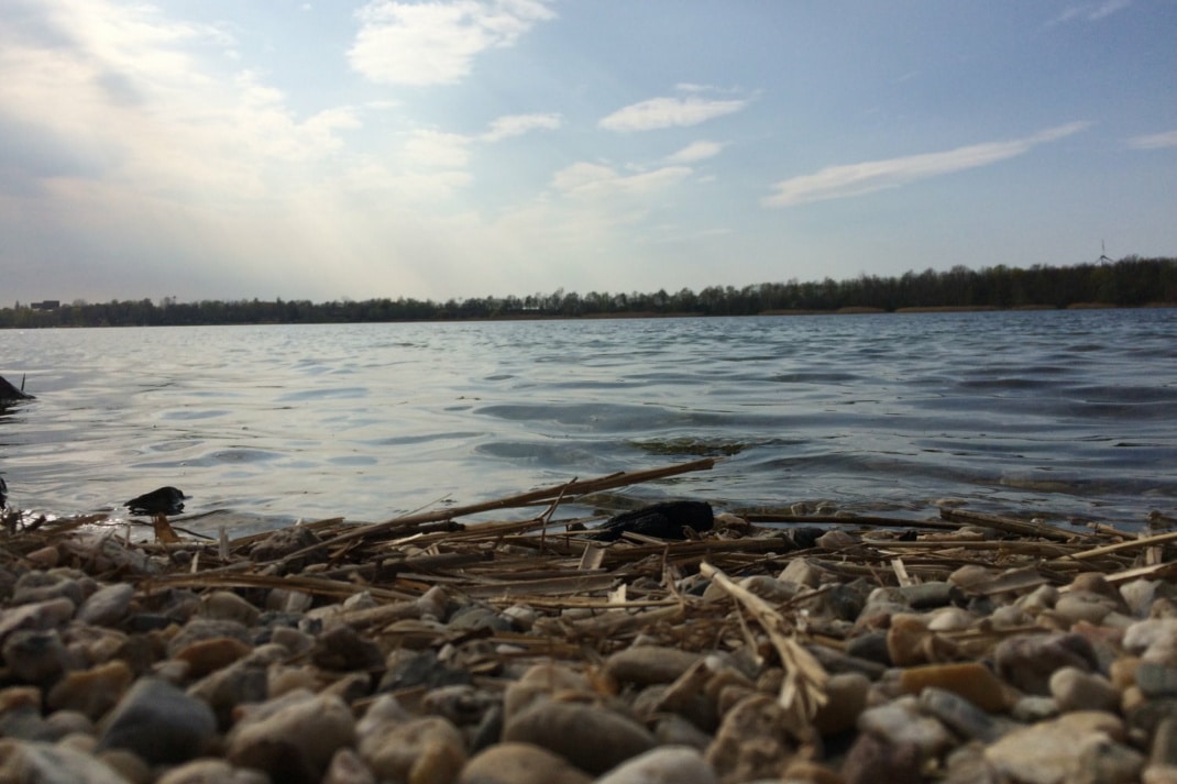 Blick über den Kulkwitzer See zum Markranstädter Ufer.