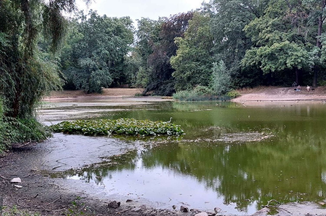 Blick auf den Teich im Stünzer Park.